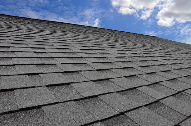 Best Emergency Roof Repair  in Fruitvale, CO